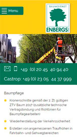 Ansicht neue Homepage Enbergs Castrop