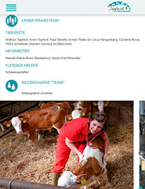 Neues responsive Webdesign für Tierarztpraxis Tepferd